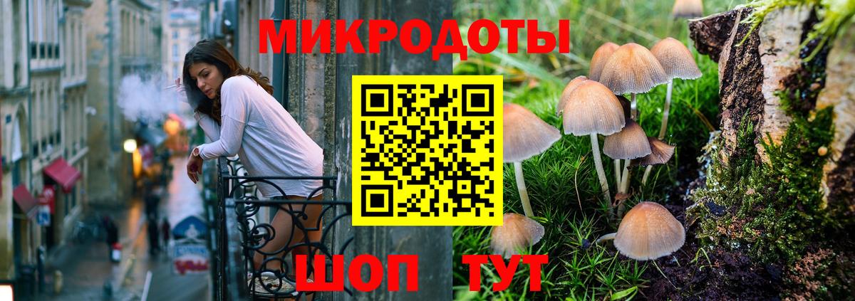 что такое наркотик  Галлюциногенные грибы прущие грибы  Вход с VPN  Керчь 